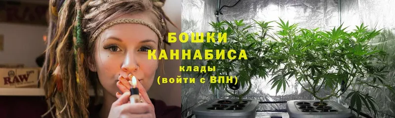 магазин    Агрыз  Канабис сатива 